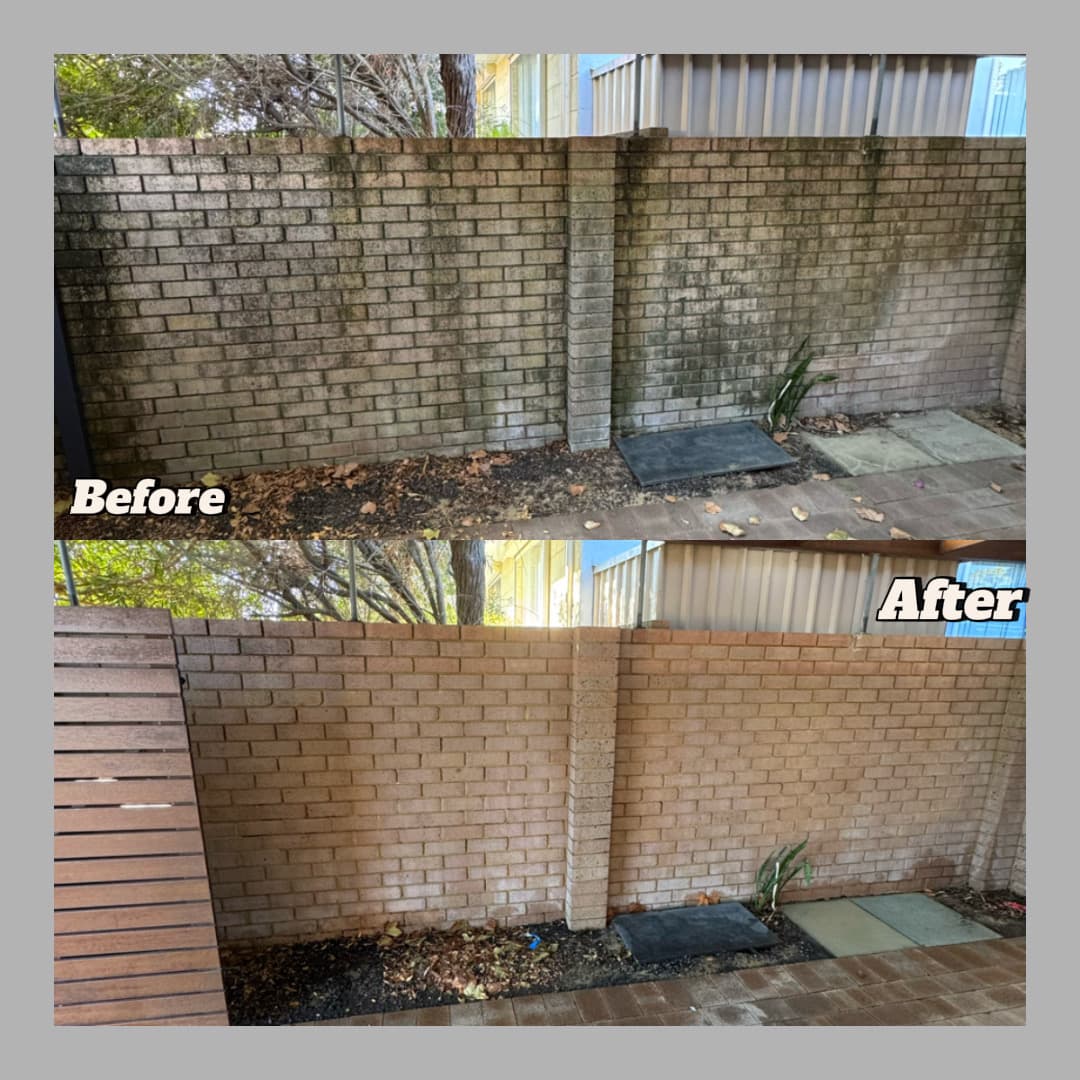 Brick boundary wall before and after, mould and stains lifted off